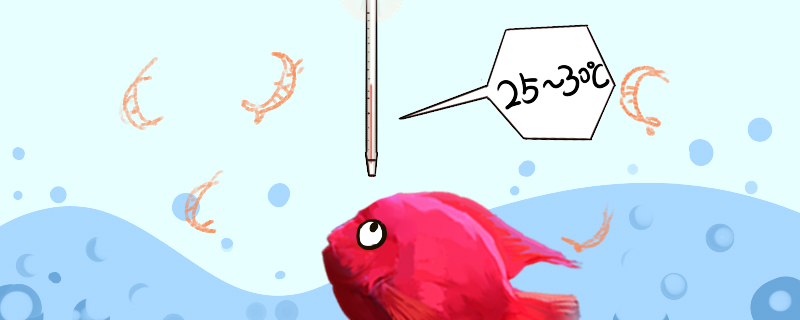 鹦鹉鱼水温度多少最佳，养鹦鹉鱼的水放盐吗